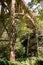 Vertical image of a wooden bridge in a forest in Corbett, Oregon