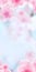 Vertical Japanese Spring Sakura cherry blossoms 120x240 size website small skyscraper banner blue background and header