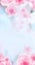 Vertical Japanese Spring Sakura cherry blossoms 160x600 size website skyscraper banner blue background and header