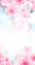 Vertical Japanese Spring Sakura cherry blossoms 160x600 size website skyscraper banner white background and header