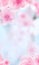 Vertical Japanese Spring Sakura cherry blossoms 240x400 size website fat skyscraper banner blue background and header