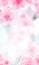 Vertical Japanese Spring Sakura cherry blossoms 240x400 size website fat skyscraper banner white background and header