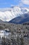 A vertical landscape image of cabins in Winter Park, Colorado.