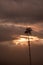 Vertical landscape sunset of wax palm tree in Cocora Valley near Salento Quindio, Colombia