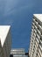 Vertical looking upwards view of urban modern high white modern commercial buildings with blue sky in bright sunlight