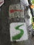 Vertical low angle shot of the letter S on the bark of the tree covered in moss in the park