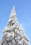 Vertical low angle shot of a tall spruce covered by snow with the sky in the background