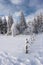 vertical  mountains winter landscape,  morning nature view  in mountains, Carpathians, Ukraine, Europe