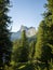 Vertical natural landscape in Ergaki Nature Park. View of Star Peak