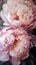 Vertical oil painting of pink peony flowers, impasto, huge close-up, generative ai
