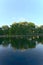 A vertical orientation of reflections of trees and clouds on lake water, La Fontaine Park, Montreal, QC, Canada