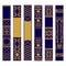 Vertical ornament set. Samples of spines or roots of the book. Ornate gold and blue pattern