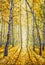 Vertical Painting birch autumn tree impressionism art