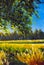 Vertical painting sunny summer landscape illustration field and forest