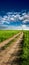 Vertical panorama of country road