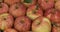 Vertical panorama of falling raindrops on a heap of fresh, ripe apples.