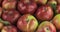 Vertical panorama of a heap of fresh, ripe apples.