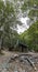 Vertical-panoramic image of Hut in the middle of the forest