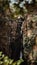 Vertical panoramic view of an immense rough cliff with a long thin flowing waterfall