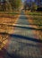 Vertical path in autumn park landscape background