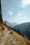 Vertical Photo of 30s woman standing on trail looking out with lush high mountain altitude huckleberry bushes, shrubs, and massive