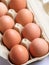 Vertical photo of brown uncooked unwased chiken eggs in a carton