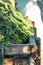 Vertical photo of fresh green cut green grass pile in wooden box. Compost, manure waste heap as ecological fertilizer.