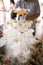 Vertical photo of a hand that take champagne from a wedding fountain