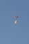 Vertical photo of a parachutist with the Spanish flag falling