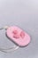 Vertical Photo of Pink Natural Wax Florentine Sachet Top View on Concrete Gray Background