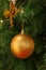 Vertical photo of a shiny gold ball shaped Christmas ornament hanging on the Christmas Tree
