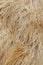 Vertical photo Texture of lamb skin close-up. Texture of white fur. Natural white fur. Animal fur. Abstract textures for designers