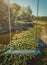 Vertical photo of a vintage blue swing hanging over a pond with blooming waterlily, lotus flowers. Vacation travel, natural