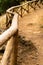 Vertical photo wooden fences providing security in the mountains walk in the gorge