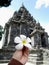 Vertical photograph of a single White Yellow Hawaiian Plumeria Kamboja Flower held by hand with Sojiwan Temple Candi