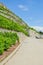 Vertical photography of scenic path along terraced vineyards. Vineyard on hills along Geneva Lake, Switzerland. Famous Lavaux wine