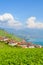 Vertical photography of stunning village Rivaz in Lavaux wine region, Switzerland. Green terraced vineyards on the hills by