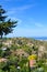 Vertical picture of amazing coastal landscape in Kyrenia region, Northern Cyprus. Rural houses surrounded by green trees