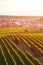 Vertical picture capturing beautiful vineyards near picturesque village Velke Pavlovice in Southern Moravia, Czechia