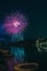 Vertical picture of colorful fireworks above the sea surrounded by buildings and lights in the night