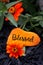 Vertical picture of a hand painted rock that says, `Blessed`