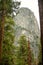 Vertical picture of huge dome and high sequoia trees in Yosemite national park, California, USA in cloudy day. Mountains in