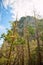 Vertical picture of huge dome and high sequoia trees in Yosemite national park, California, USA in sunny day with blue sky.