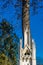 Vertical picture of a little marble church against a great tree at the Central Cemetery in Vienna