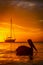 Vertical picture of a silhouette of a pelican on the water against a blurry orange sunset