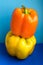 Vertical picture of two sweet yellow and orange pepper paprika on light blue and dark blue background in soft focus. Healthy