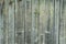 Vertical pine wood fence close up shot on natural light