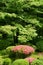 Vertical pink flower, green plant and tree in Japan public park