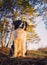 Vertical portrait of a attentive border collie dog, posing serious open mouth expression, over the pine forest background.