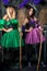 Vertical portrait of two enchanting witch with brooms